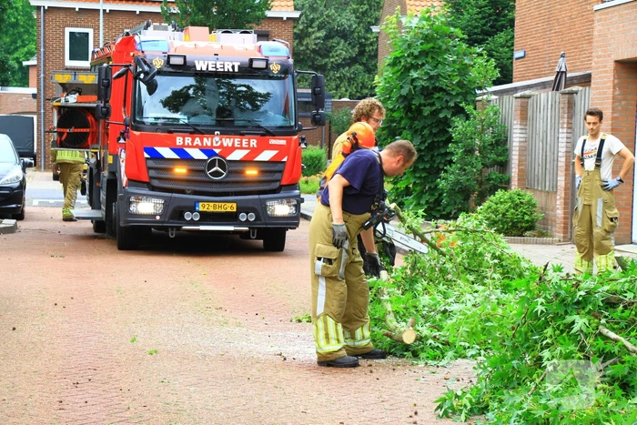 natuur ariënsstraat weert