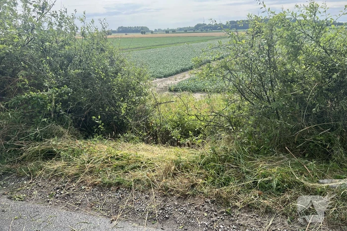 Scooterrijder vast in bosschage na val