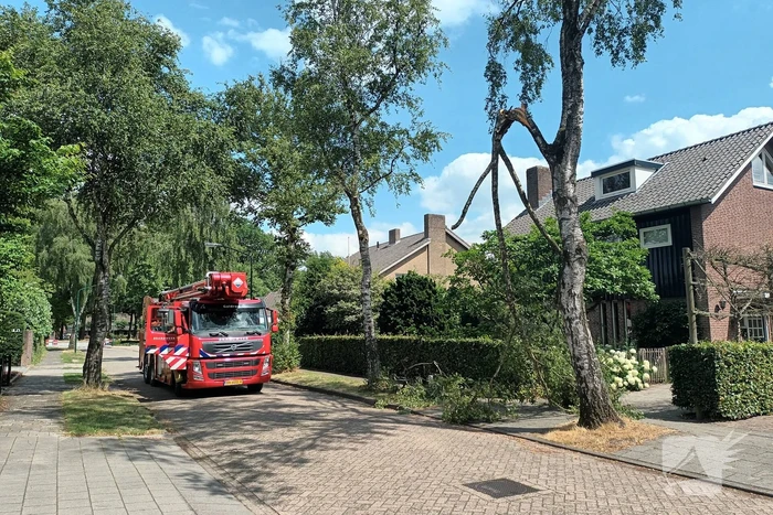 natuur burgemeester coxlaan heeze