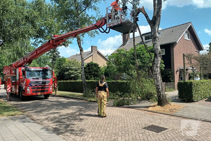 Brandweer verwijdert gescheurde tak