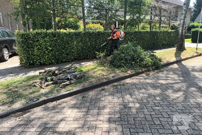 Brandweer verwijdert gescheurde tak