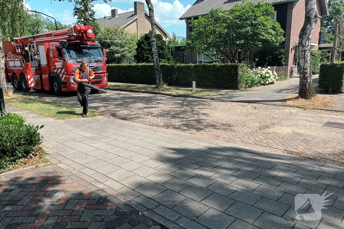 Brandweer verwijdert gescheurde tak