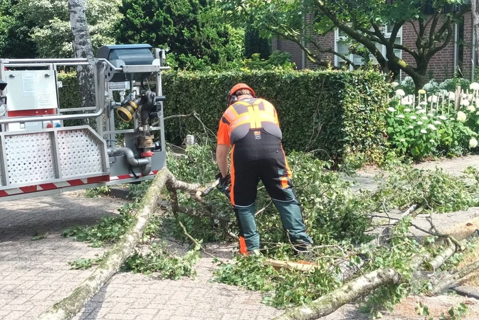 Brandweer verwijdert gescheurde tak