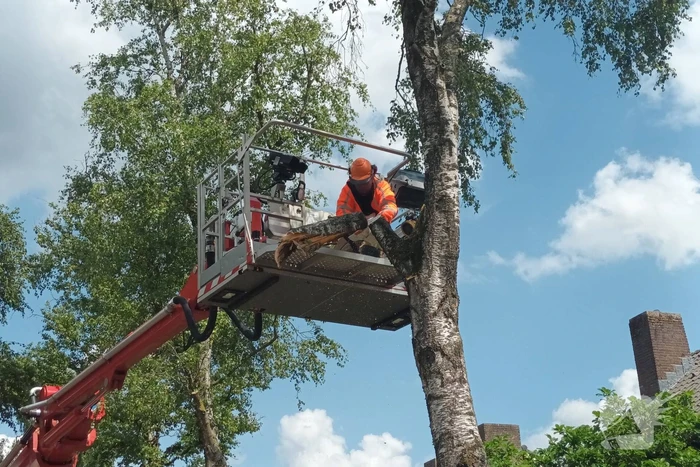 Brandweer verwijdert gescheurde tak