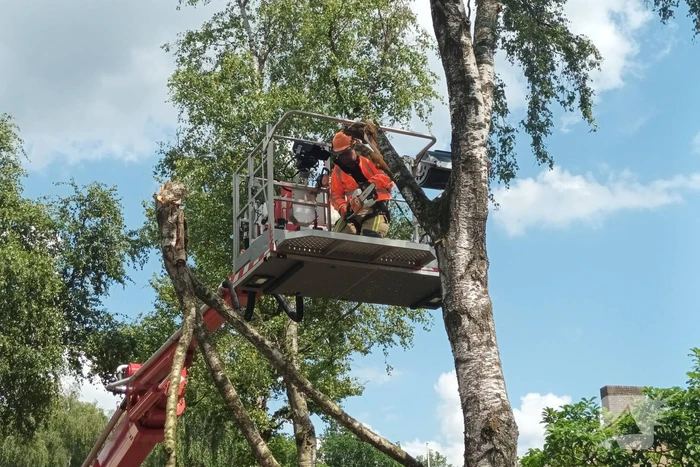 Brandweer verwijdert gescheurde tak