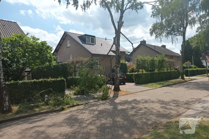 Brandweer verwijdert gescheurde tak