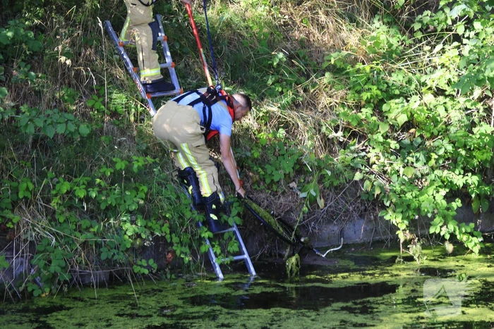 Brandweer haalt fiets en verkeersbord uit water