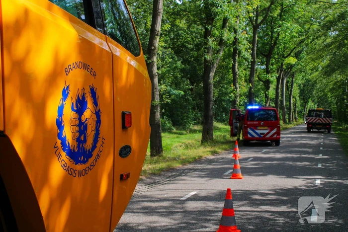 brand groene papegaai hoogerheide