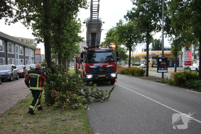 Brandweer verwijdert meerdere loshangende takken