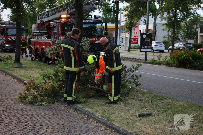 Brandweer verwijdert meerdere loshangende takken