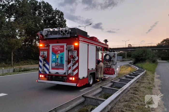 Brandweer probeert kuikens in problemen te redden