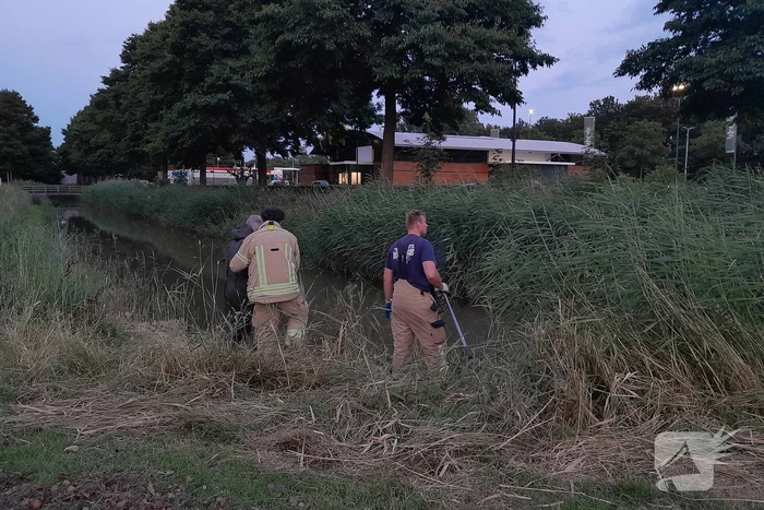 Brandweer probeert kuikens in problemen te redden