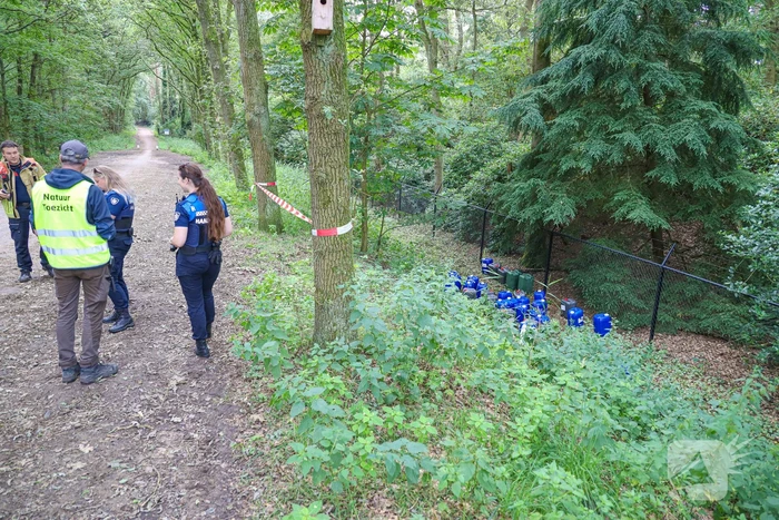 Tientalen vaten in bosgebied aangetroffen