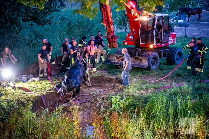 Brandweer uren bezig met paard in sloot