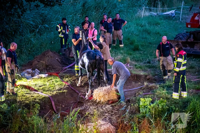 Brandweer uren bezig met paard in sloot
