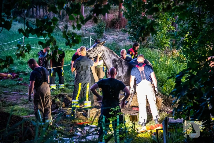 Brandweer uren bezig met paard in sloot