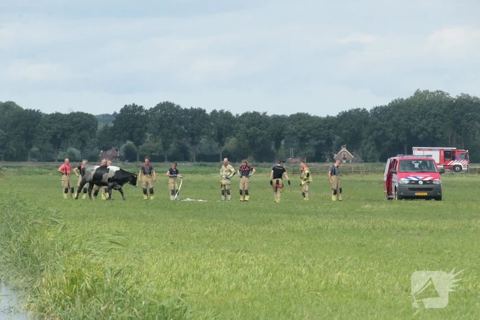 nieuws zomerdijk eemnes