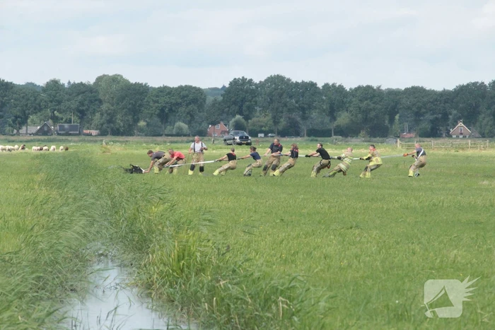 Brandweer ingezet voor koe in een sloot