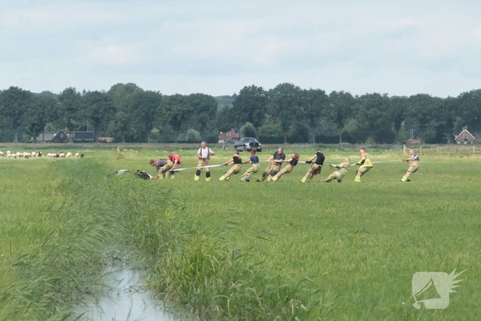 Brandweer ingezet voor koe in een sloot