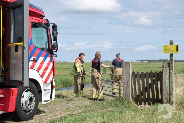 Brandweer ingezet voor koe in een sloot