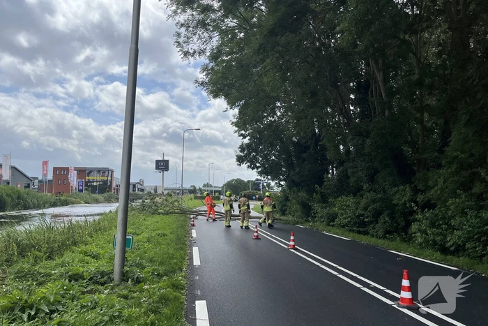 Grote tak dreigt op weg te vallen