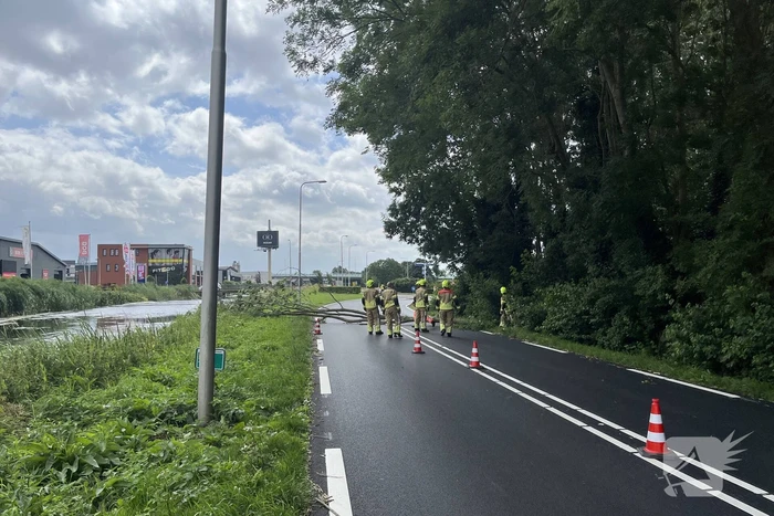 Grote tak dreigt op weg te vallen