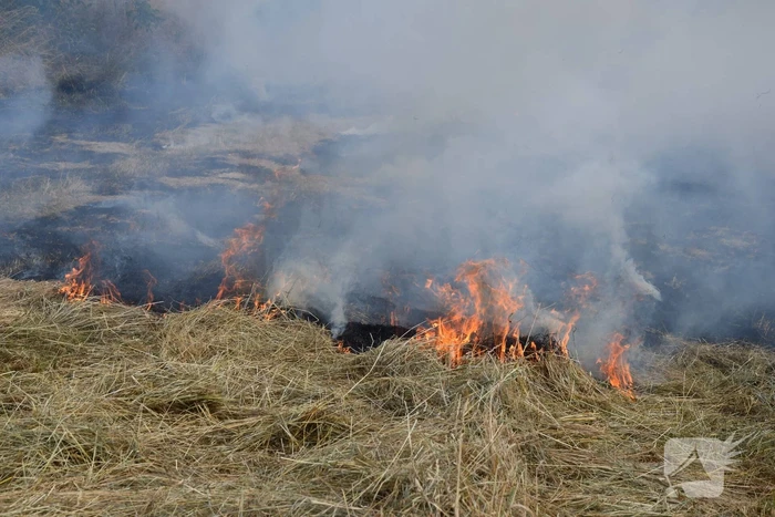 Flinke rookontwikkeling bij buitenbrand
