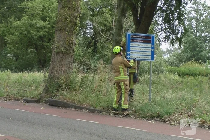 Boom weggezaagd na omvallen