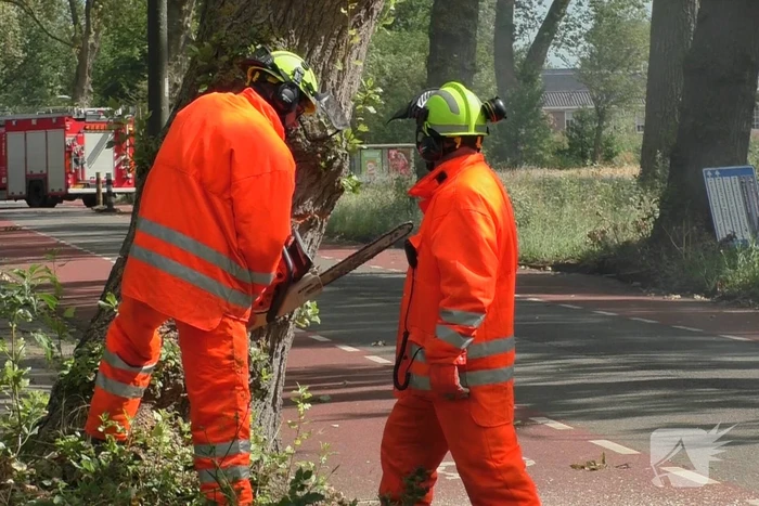 Boom weggezaagd na omvallen