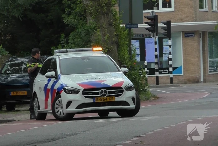 Boom weggezaagd na omvallen