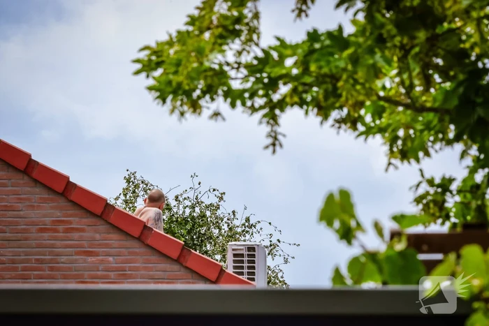 Veel bekijks bij man met verward gedrag op dak