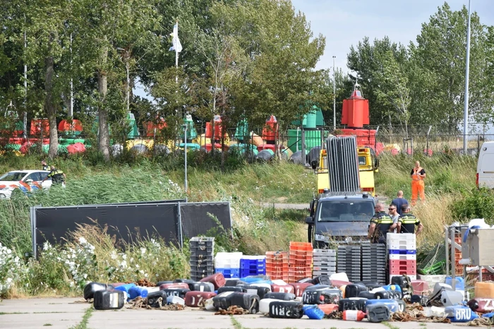 Lichaam van surfer aangetroffen in Grevelingen