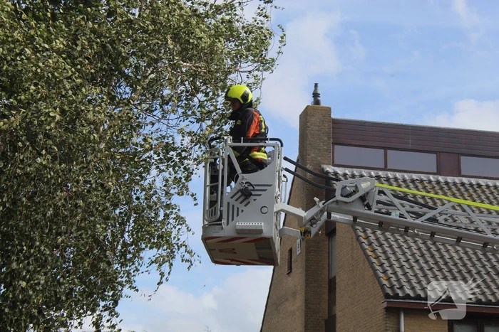 Brandweer ingezet voor stormschade