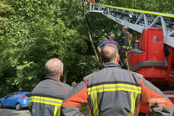 natuur poelgeesterweg oegstgeest