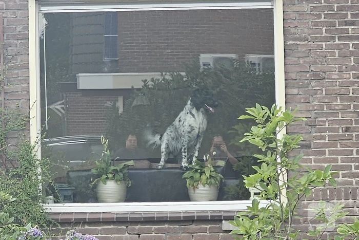 Losgeschoten slang zorgt voor wateroverlast in woning