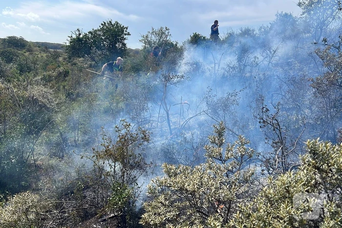 Weer natuurgebied in brand