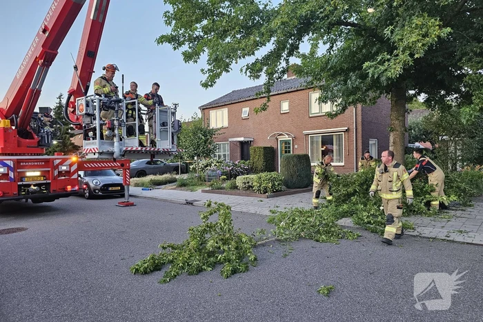 natuur proosdijweg ede