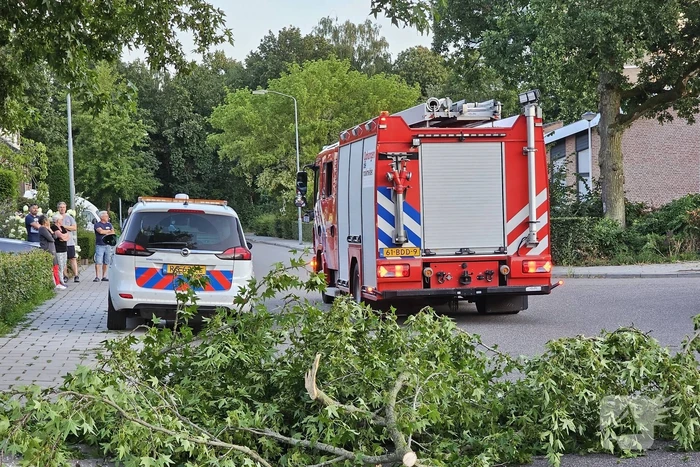 Gevaarlijk hangende tak dreigt te vallen
