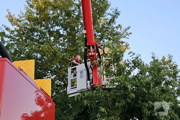 Gevaarlijk hangende tak dreigt te vallen