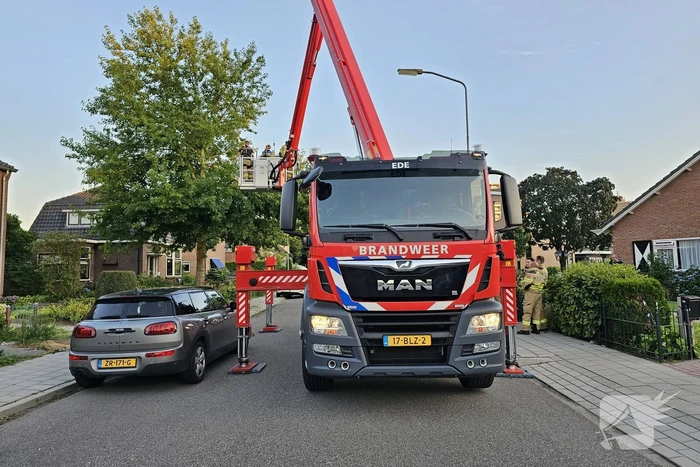 Gevaarlijk hangende tak dreigt te vallen