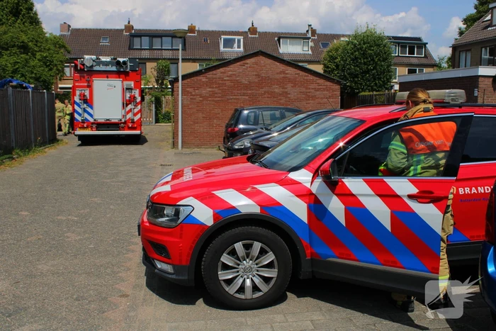 nieuws raaigras barendrecht