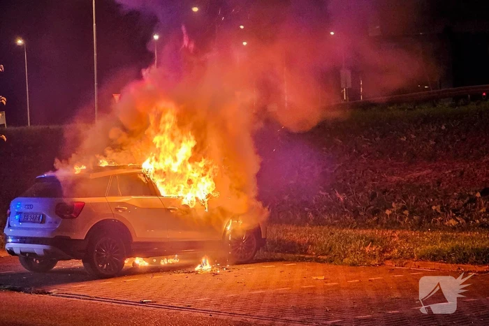 brand julianasluispad gouda