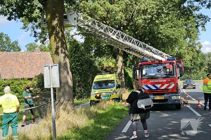 Kat springt uit boom tijdens reddingsactie van brandweer