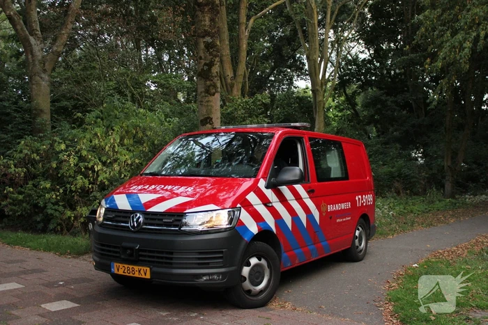 Vat aangetroffen in bosjes