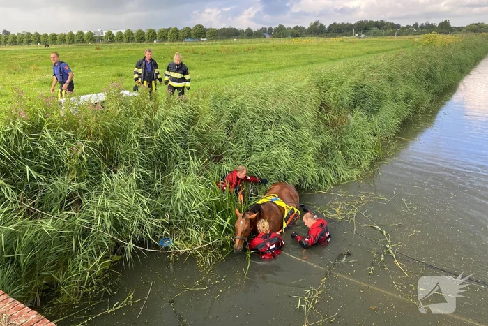 nieuws tjessingawei leeuwarden