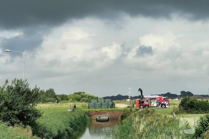 Brandweer takelt paard uit water