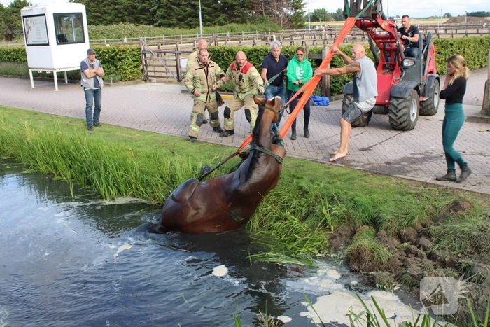 nieuws achterdijk hellevoetsluis