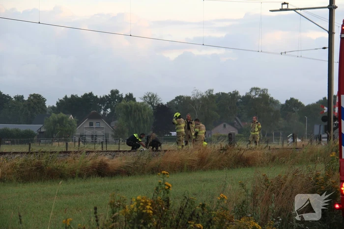 Persoon aangereden door passagierstrein