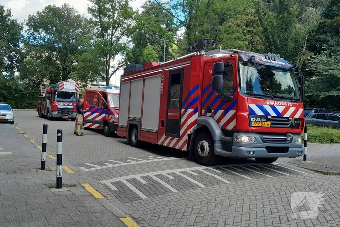 brand ravenswaard rotterdam