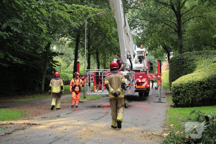 Loshangende tak zorgt voor gevaarlijke situatie
